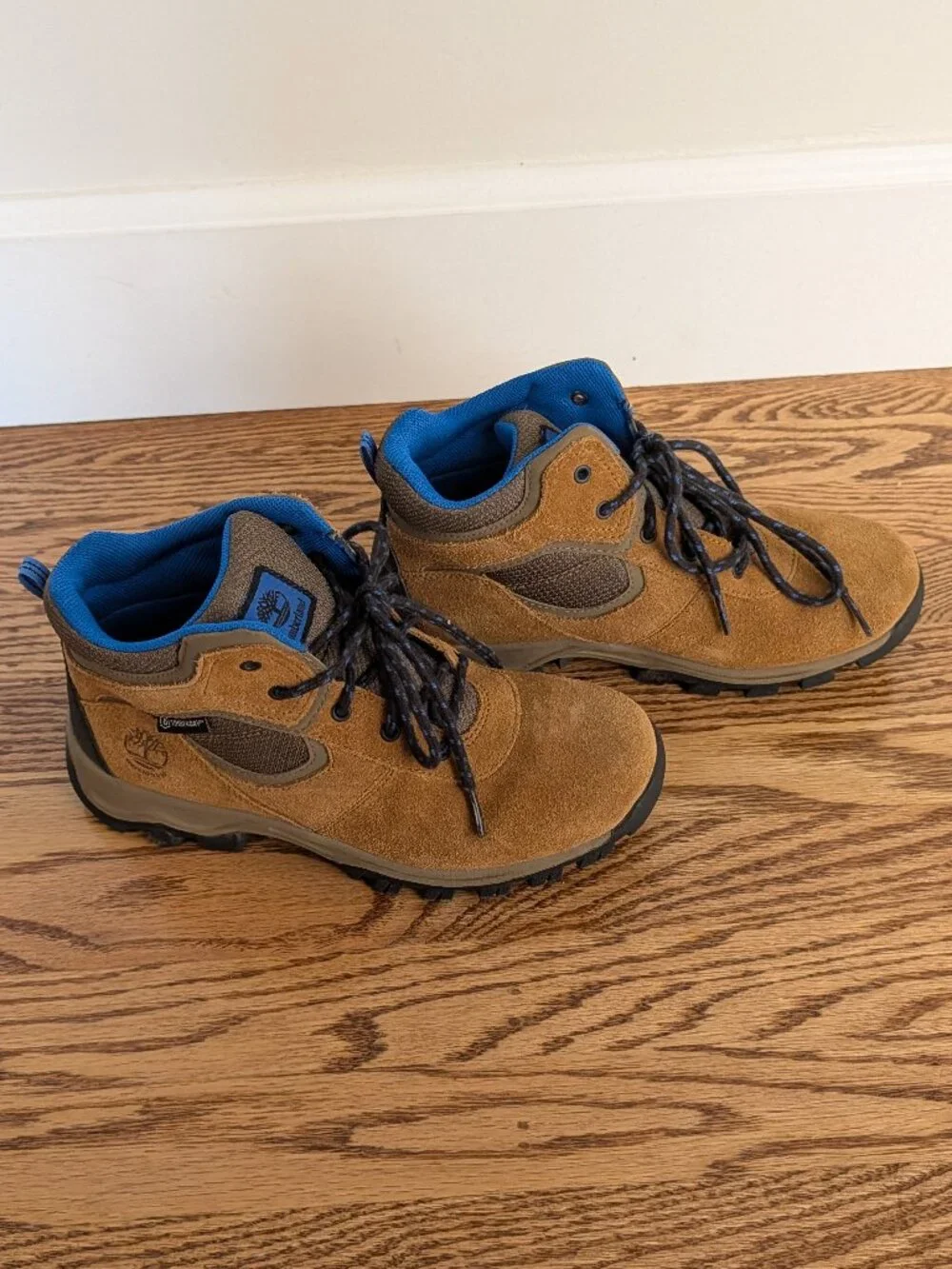 Big Kids Timberland Mt. Maddsen Waterproof Hiking Boots - Unisex